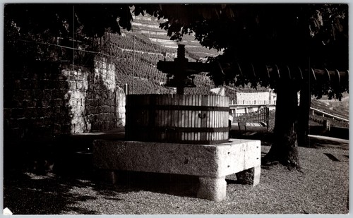 Vtg snapshot old - vtg, b&w