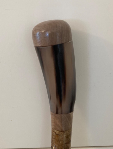 Cow horn and - cow,