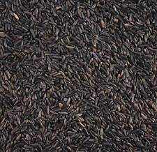 Niger Seed - High Energy Wild Bird Mixture 1kg