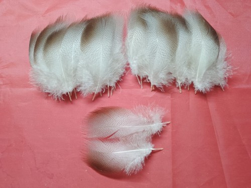 Mallard bronze hackle - bronze,