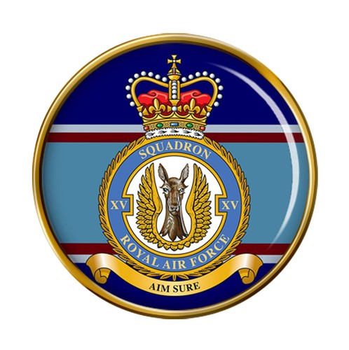 Squadron raf pin badge - raf,