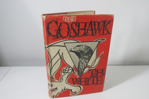 The goshawk h white - goshawk, by