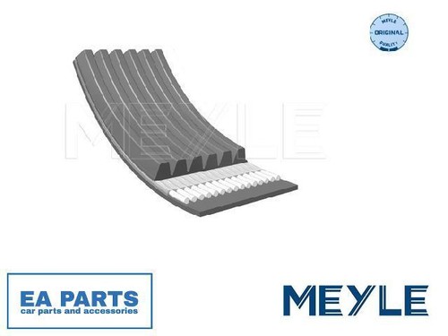 Ribbed belts for peugeot - for,