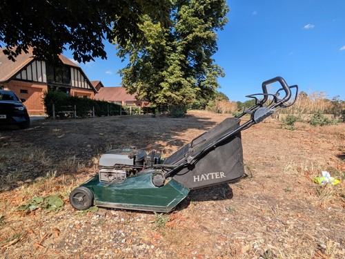 Hayter harrier self - 48,