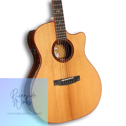 Cort gold a10 cocobolo - cort,