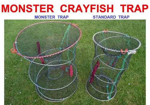 Monster crayfish lobster - monster,