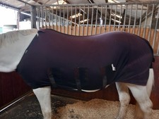 Snuggy Hoods Spik & Span Rug 6'3" Faded 