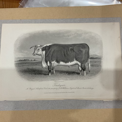 Antique farming print 1876 - antique,
