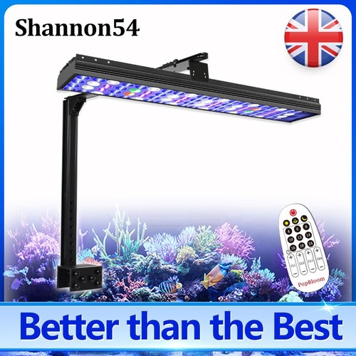 Popbloom s54 timer control led - s54,