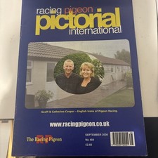 Racing pigeon Pictorial International