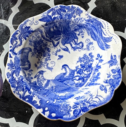 Royal crown derby bone china - derby,