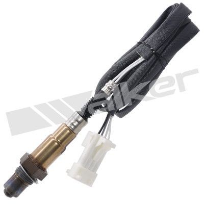 Walker oxygen sensor 1640mm - sensor,