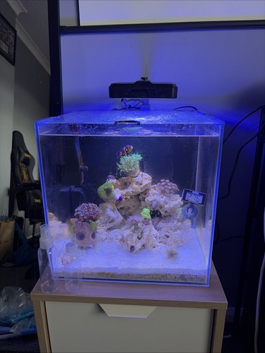 35l nano reef - reef, marine