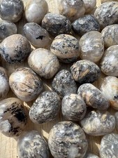 Tiger Dendrite Agate