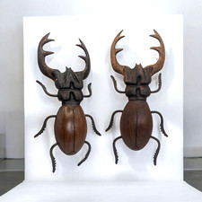 Pair Handmade Wood Metal Stag Beetle Antler Wall Hanging Sculpture Figurine