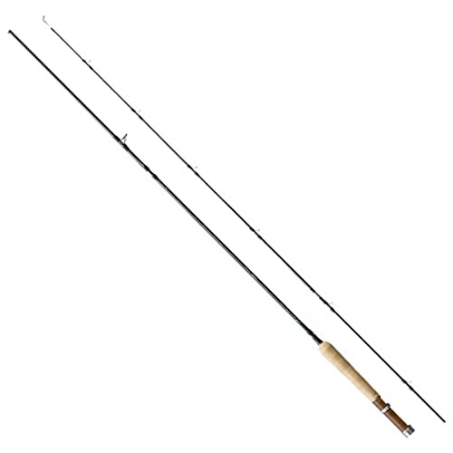 Loomis shimano asquith - g.loomis, &