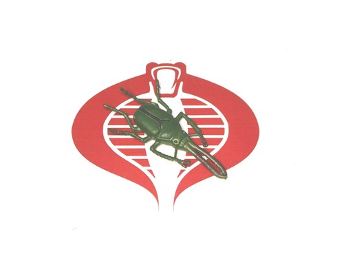 Wing mau chiasognathus - wing,