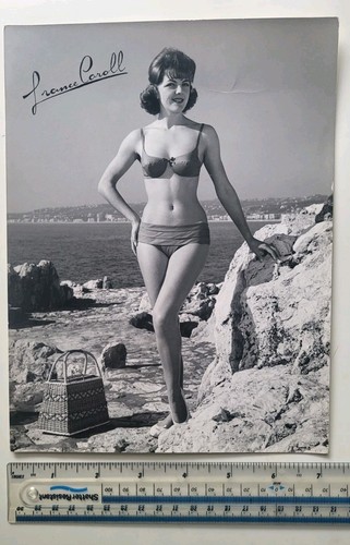 Vintage 1950s photo french - vintage,