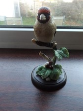 Fantastic Quality Border Fine