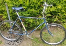 Raleigh Madison Rare South