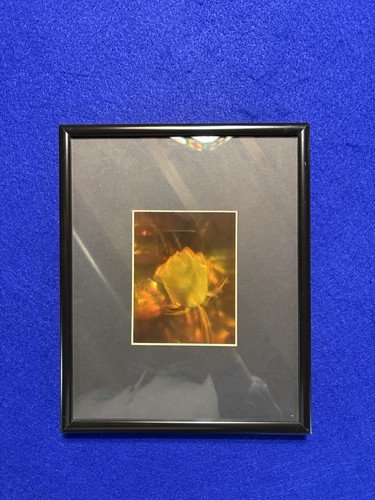 Hologram art blooming - art, “blooming