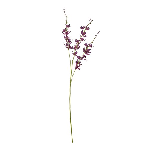 Purple cymbidium spray - purple,