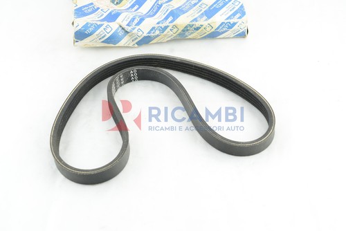 Poly alternator belt - poly-v, 5