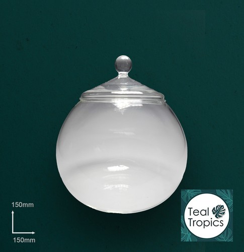 Clear terrarium glass jar - clear,