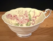 VINTAGE PARAGON DBL WARRANT