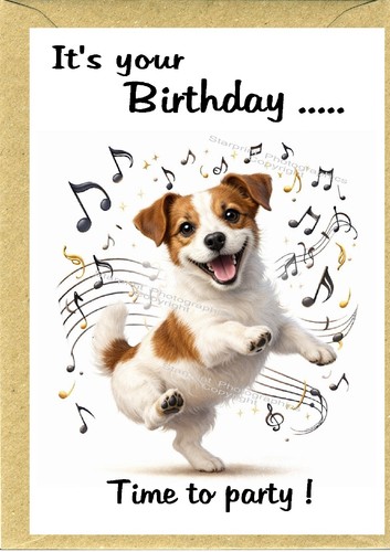 Jack russell terrier dog - terrier,