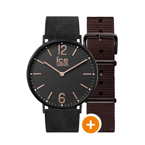 Ice watch - , cottage