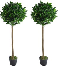 Pair of 120cm Bay Topiary Ball
