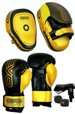 EVO BOXING GLOVES MMA FOCUS