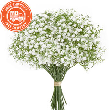 Artificial Gypsophila Baby Breath Flowers Fake Bouquets for Wedding Decor 10pcs