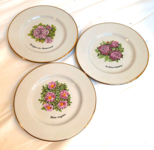 National trust collectible - trust,