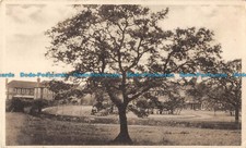 R074721 Unknown Place. Tree. Houses. Garden. Old Photography. Postcard