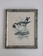 Rare Vintage Goldfinch Signed