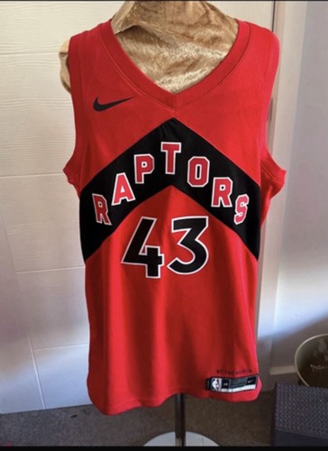 Toronto raptors pascal siakam - pascal,