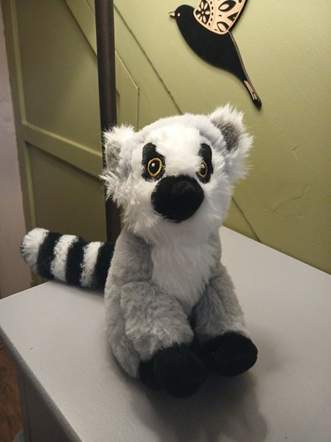 Ring tailed lemur - ring-tailed,