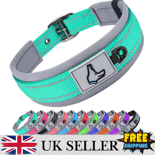 Padded reflective dog collar - padded,