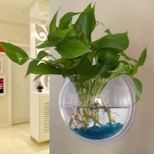 Acrylic Wall Mounted Hanging Fish Bowl Aquarium Tank Goldfish Hanger Plant Clear