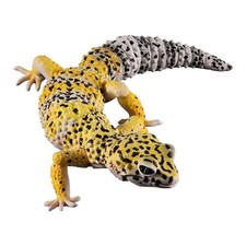 Bandai Gashapon Leopard Gecko