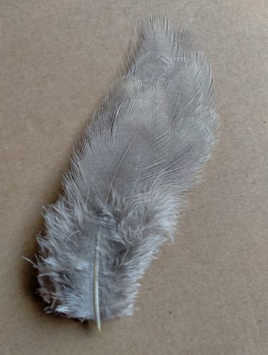 Fly tying native crafts - fly,