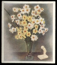 Tobacco Card, Godfrey Phillips, FLOWER STUDIES, Polyanthus, Narcissi, #13