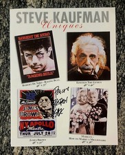 1999 Steve Kaufman Original/SIGNED Art Brochure Catalog (Andy Warhol's Asst.)