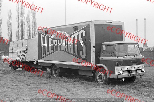 Truck photo showmans - photo,