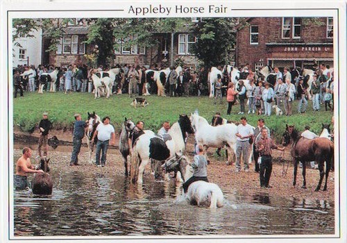 Appleby horse fair photograph - appleby,