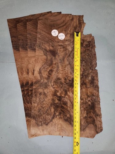 American walnut burr - veneer,