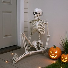 170cm Halloween Poseable Skeleton Full Life Size Human Skeleton Decoration Props