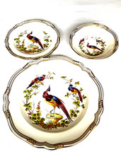 Spode Chelsea Bird china